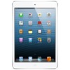 Apple iPad mini 16Gb Wi-Fi + Cellular белый - Вельск