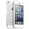 Apple iPhone 5 64Gb white - Вельск